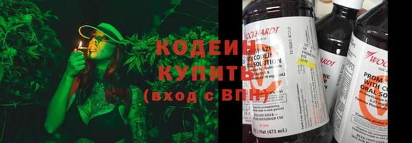 молекула духа Арсеньев