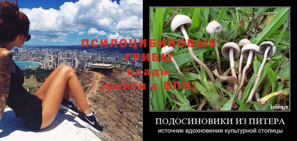 прущие крисы Аркадак