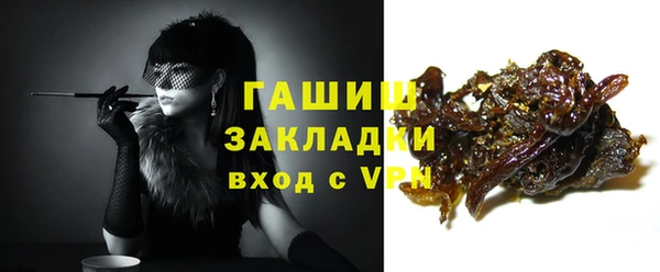 молекула духа Арсеньев