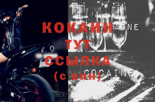 молекула духа Арсеньев