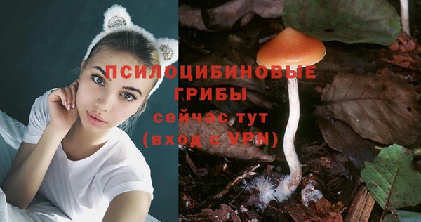 прущие крисы Аркадак