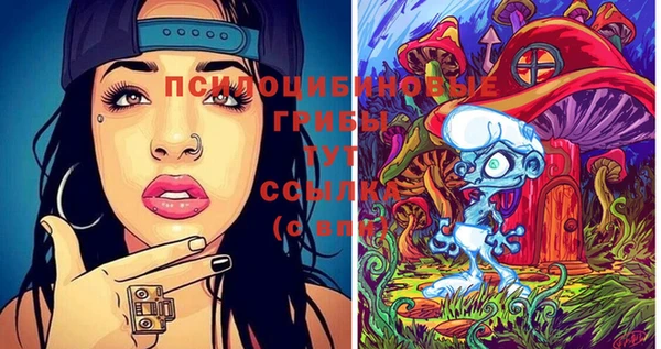 молекула духа Арсеньев