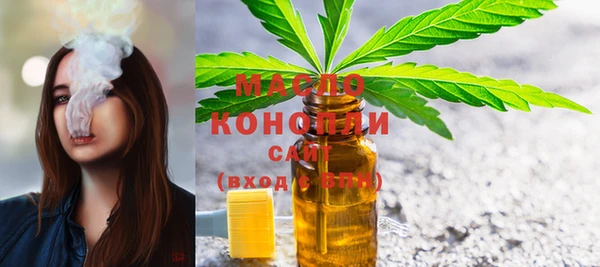 молекула духа Арсеньев